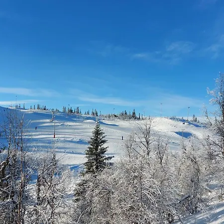 Σπίτι διακοπών Utsikt Mot Fjellene In Out 16 Sengeplasser Aurdal