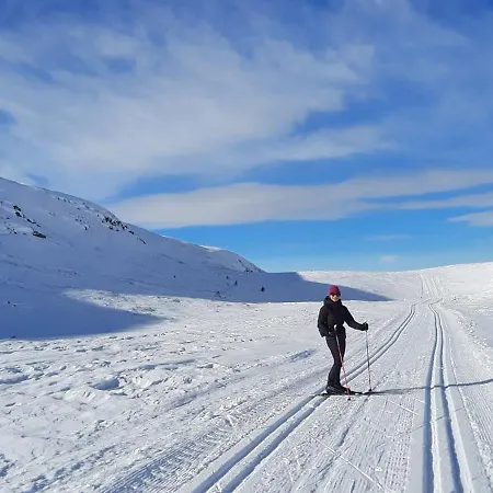 Utsikt Mot Fjellene In Out 16 Sengeplasser