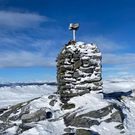 Utsikt Mot Fjellene In Out 16 Sengeplasser Σπίτι διακοπών Aurdal