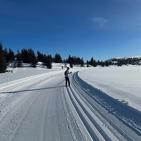 Utsikt Mot Fjellene In Out 16 Sengeplasser Holiday home *