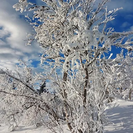Utsikt Mot Fjellene In Out 16 Sengeplasser Semesterbostad *
