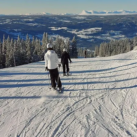 Σπίτι διακοπών Utsikt Mot Fjellene In Out 16 Sengeplasser