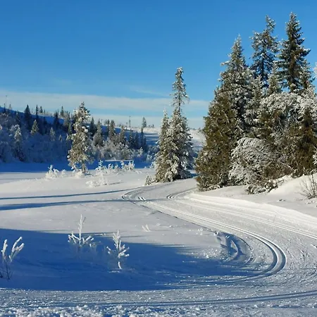 Utsikt Mot Fjellene In Out 16 Sengeplasser Σπίτι διακοπών