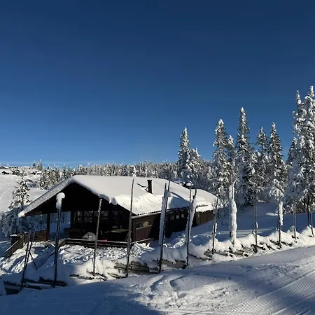 Σπίτι διακοπών Utsikt Mot Fjellene In Out 16 Sengeplasser