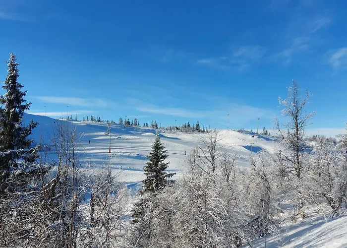 Dom wakacyjny Utsikt Mot Fjellene In Out 16 Sengeplasser Aurdal