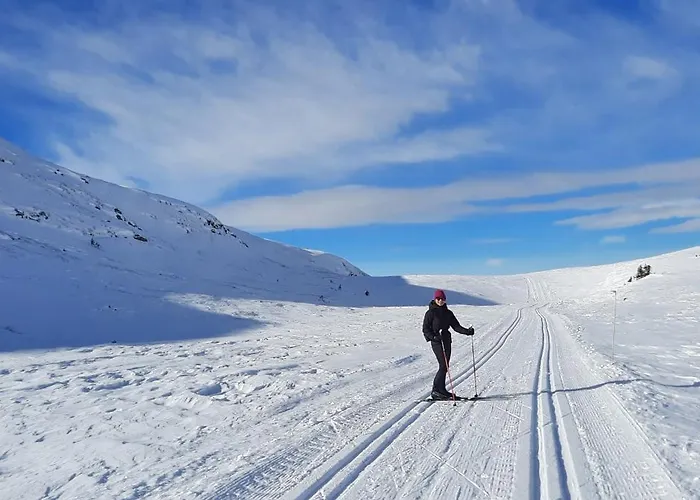 Utsikt Mot Fjellene In Out 16 Sengeplasser