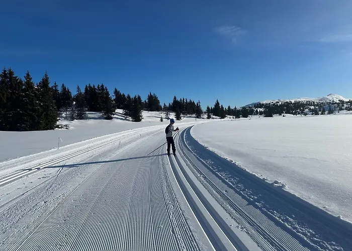 Utsikt Mot Fjellene In Out 16 Sengeplasser Dom wakacyjny *