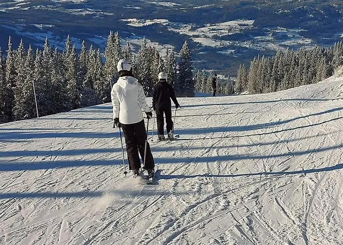 Dom wakacyjny Utsikt Mot Fjellene In Out 16 Sengeplasser