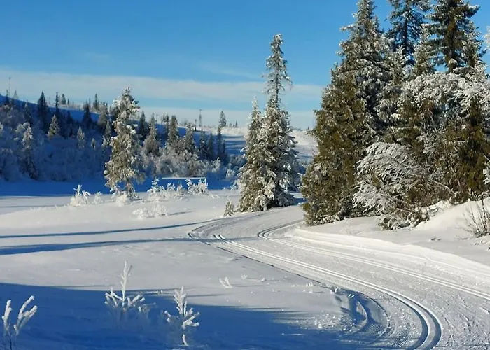 Utsikt Mot Fjellene In Out 16 Sengeplasser Nyaraló